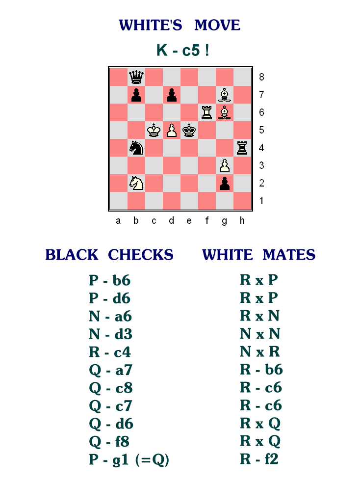 Most Fantastic Chess Ending Solution
