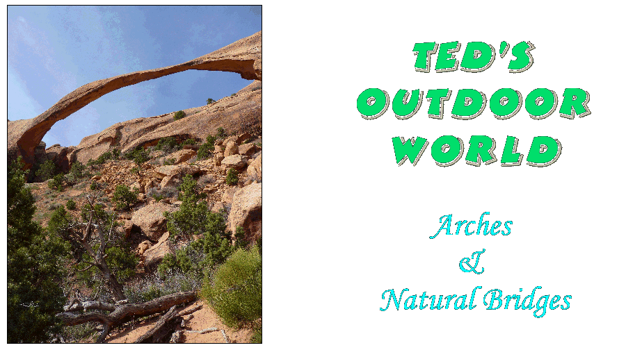 Ted's World of Arches