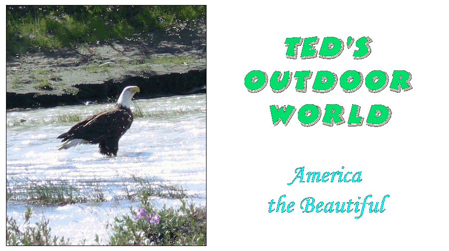 Ted's Outdoor America